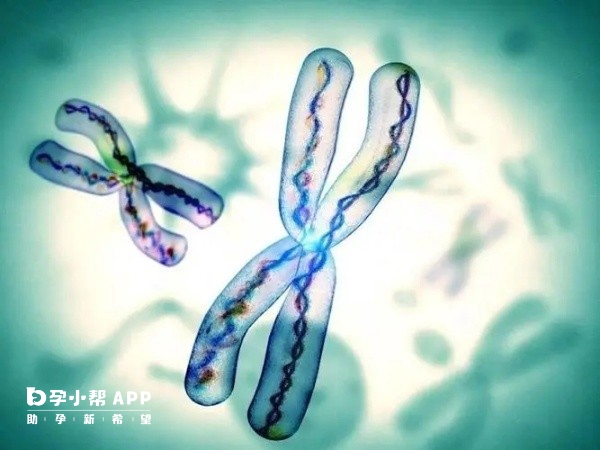 婴儿