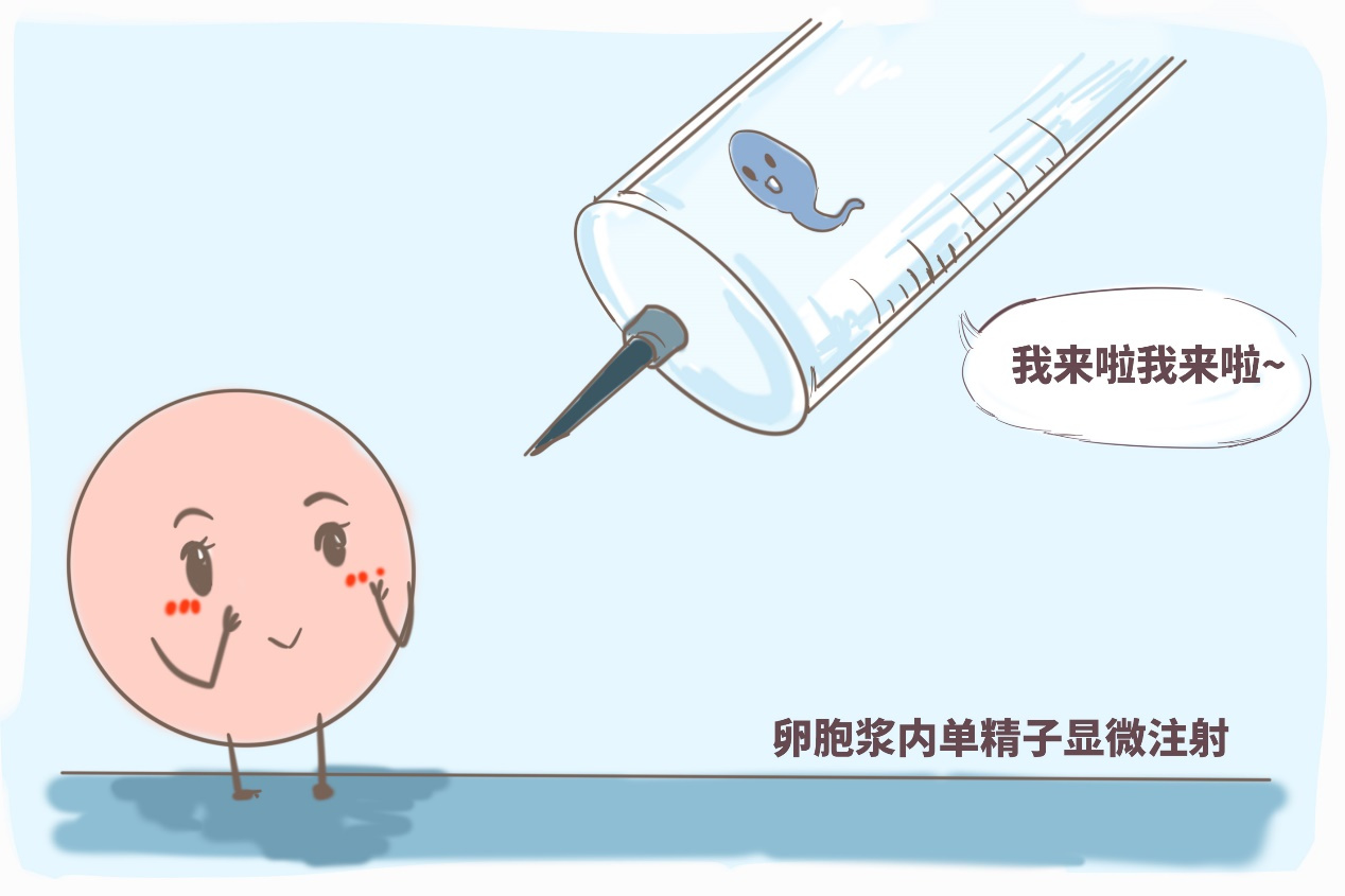 动了胎气快生了电视剧