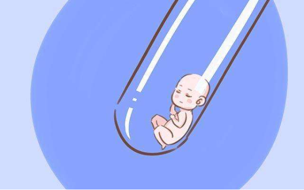 孕期性别预测