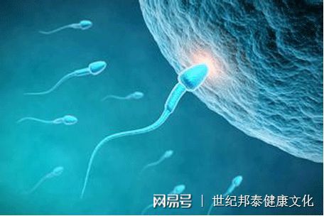 婴儿游泳