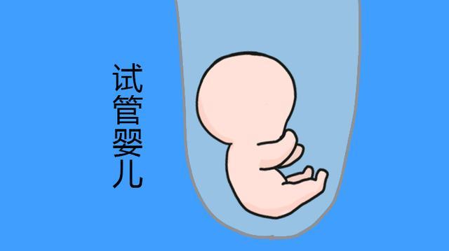怀孕初期