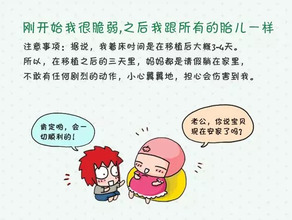 妊娠初期