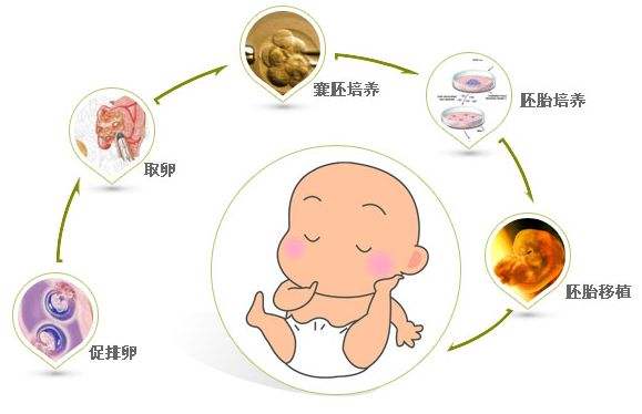 婴儿护理