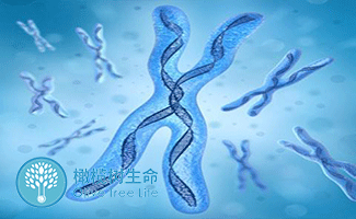 怀孕